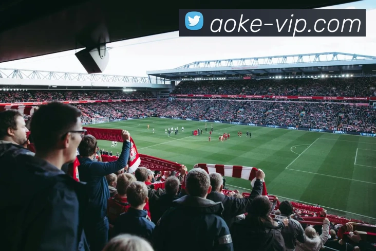 App Interface Preview